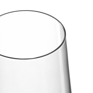 Leonardo Sektglas Puccini 280 ml, 6 Stück, Transparent 