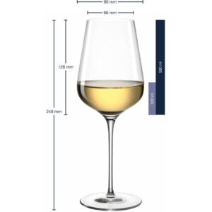Leonardo Weissweinglas Brunelli 580 ml, 6 Stück, Transparent